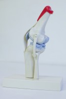Fysiotherapie in de buurt van Amstelhoek